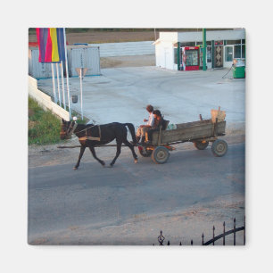 Roemenië, geen benzine nodig magneet