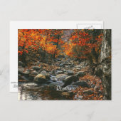 Roemenië landschapsfoto briefkaart (Voorkant / Achterkant)