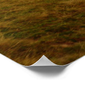 Roemenië, Moldavië, een houten orthodoxe kerk Poster (Hoek)