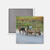 Roemenië, Paard- en kartonvervoer Magneet (Voorkant / Achterkant)