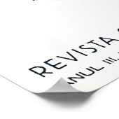 Roemenië, vrouwen met traditionele muziekinstrumen poster (Hoek)