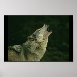 Roep de verpakking poster