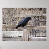 Roepende VRAAG 1 Poster (Voorkant)