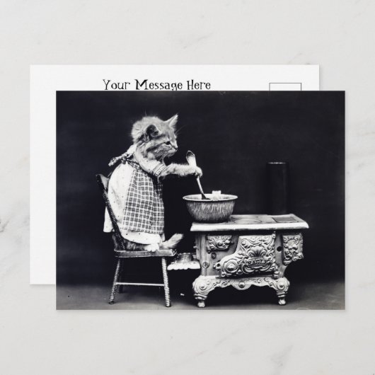 Roer het Bowl-Kat Briefkaart (Voorkant / Achterkant)