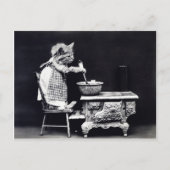 Roer het Bowl-Kat Briefkaart (Voorkant)