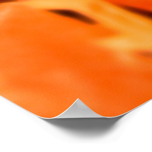 Roerdakpannen met dakpannen poster (Hoek)