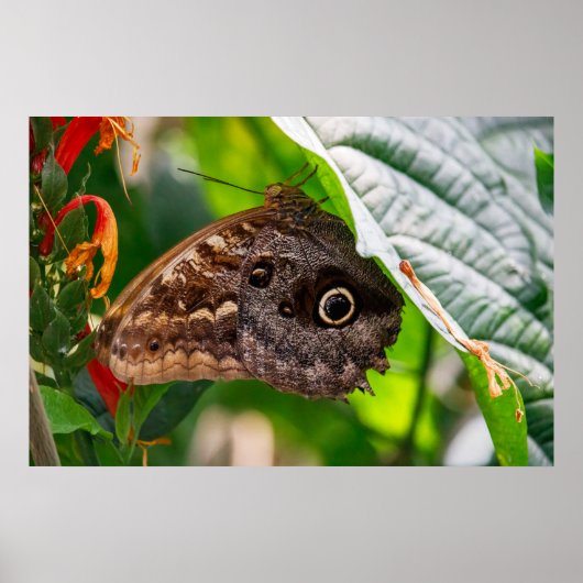 Roerloos zitten poster (Voorkant)