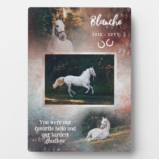 Roest & Marine Favoriete Hallo Paard Foto Herdenki Fotoplaat (voorkant)