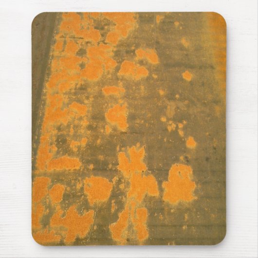 Roest Muismat (Voorkant)