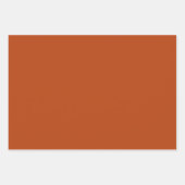 Roest Stevige Kleur | Klassiek | Elegant Trendy Inpakpapier Vel (Voorkant)