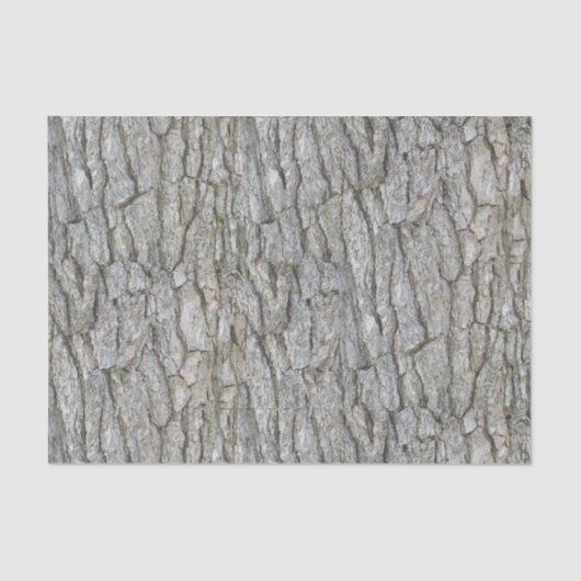 Roestgrijze boomschors tissuepapier (Voorkant)