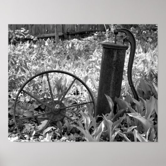 Roestig pompwiel bloementuin zwart-wit poster (Voorkant)