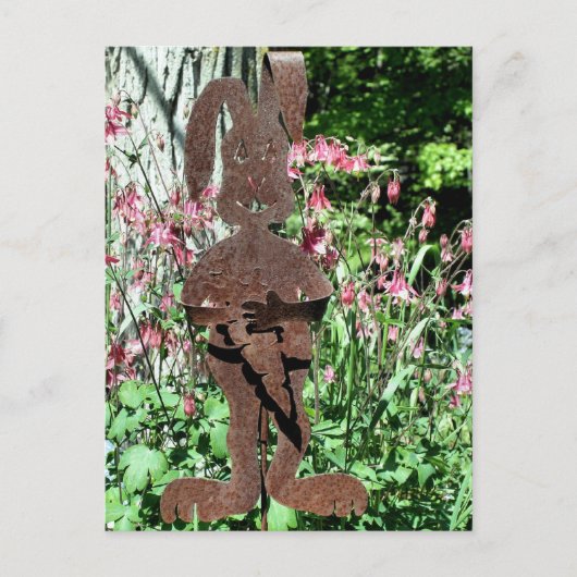 Roestige Konijn Bloementuin Fotografie Briefkaart (Voorkant)