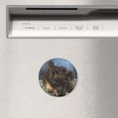 Roestige Poodle Magneet (Insitu (Vaatwasser))