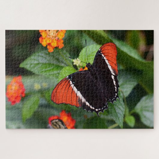 Roesttipvlinder . legpuzzel (Horizontaal)