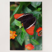 Roesttipvlinder . legpuzzel (Verticaal)