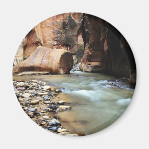 Roet als rots in Zion Narrows Magneet