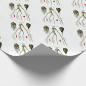  roetgroenten botanische afdrukken cadeaupapier (Hoek)