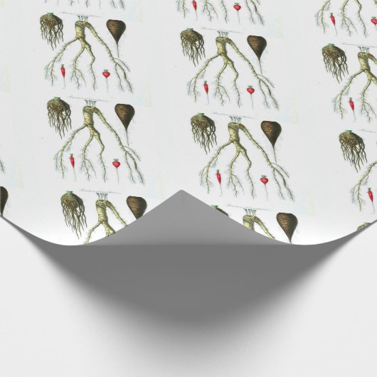  roetgroenten botanische afdrukken cadeaupapier (Hoek)