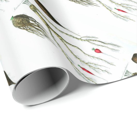  roetgroenten botanische afdrukken cadeaupapier (Rol Hoek)