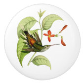 roetkopheremietkolibrie keramische knop (Voorkant)