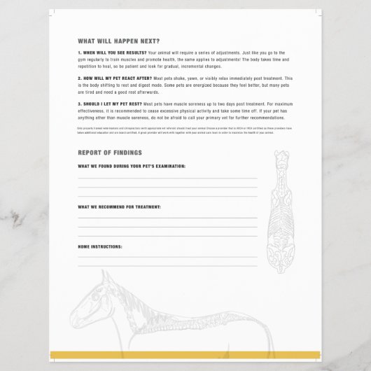 ROF Flyer (paarden) (Achterkant)