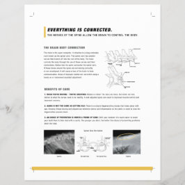 ROF-folie (canine + equine) Flyer