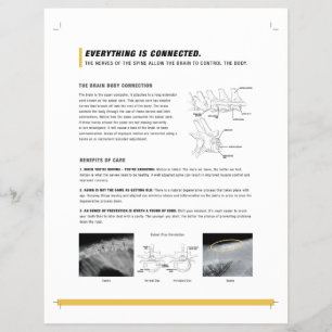 ROF-folie (canine + equine) Flyer