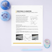 ROF-folie (canine + equine) Flyer (Enkel)