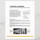 ROF-folie (canine) Flyer (Voorkant)