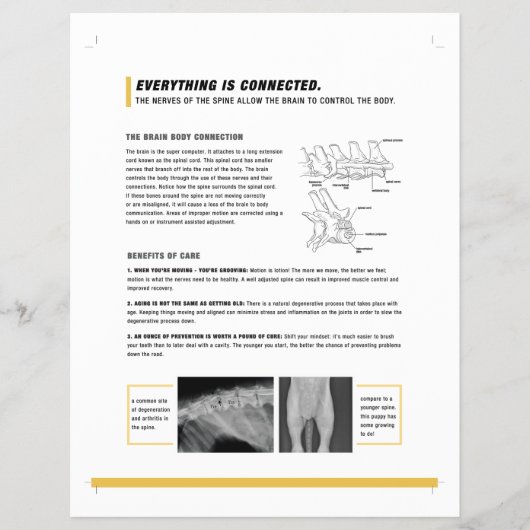 ROF-folie (canine) Flyer (Voorkant)