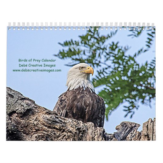 Rofvogels 2026 kalender (Hoes)