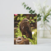 Rofvogels Briefkaart (Staand voorkant)