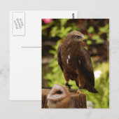 Rofvogels Briefkaart (Voorkant / Achterkant)