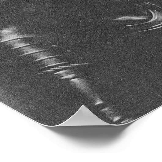 Roger Boyle, 1st Earl of Orrery Poster (Hoek)