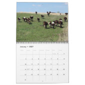 Roger & Elaine's Pinzgauer Calendar 2013 Kalender (Jan 2027)