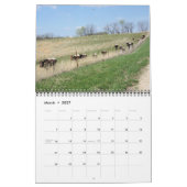 Roger & Elaine's Pinzgauer Calendar 2013 Kalender (Mar 2027)
