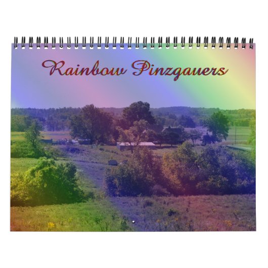 Roger & Elaine's Pinzgauer Calendar 2013 Kalender (Hoes)