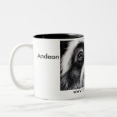 Roger Manrique mok (Links)