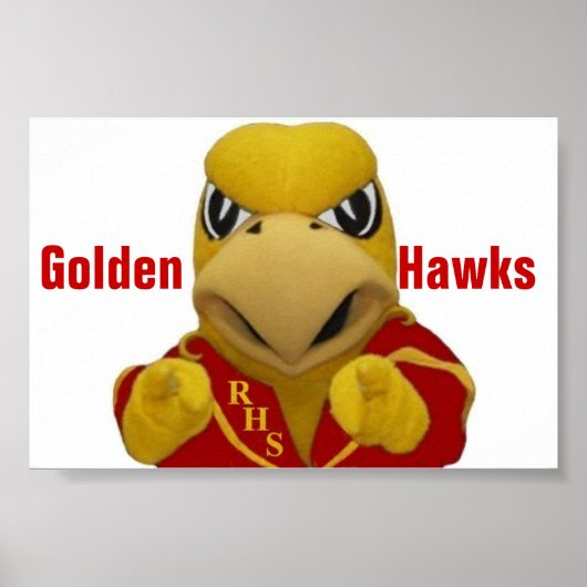 Rogers Golden Hawk Costumed Mascot Poster (Voorkant)