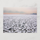 Rogers Park uitzicht van het Michiganmeer in de wi Briefkaart (Voorkant)