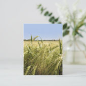 Rogge Graan Botanische Natuur Briefkaart (Staand voorkant)