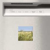 Rogge Graan Botanische Natuur Magneet (Insitu (Vaatwasser))