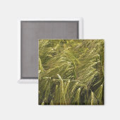 Rogge Graan Botanische Natuur Magneet (Voorkant / Achterkant)