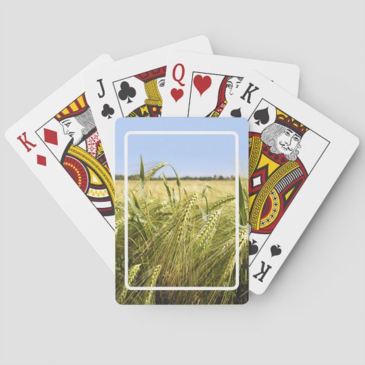 Rogge Graan Botanische Natuur Pokerkaarten (Achterkant)