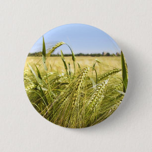 Rogge Graan Botanische Natuur Ronde Button 5,7 Cm