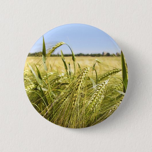 Rogge Graan Botanische Natuur Ronde Button 5,7 Cm (Voorkant)