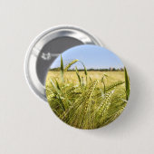 Rogge Graan Botanische Natuur Ronde Button 5,7 Cm (Voorkant /achterkant)