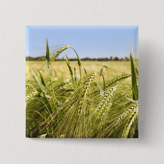 Rogge Graan Botanische Natuur Vierkante Button 5,1 Cm (Voorkant)