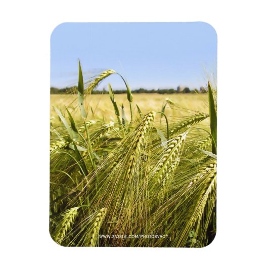 Rogge Magneet (Verticaal)